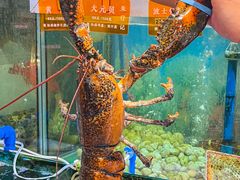 -朱仔记食府(江南大道店)