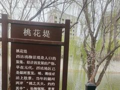 -桃花堤公园