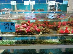 水产区-鑫悦楼煎蟹·16年海鲜大排档