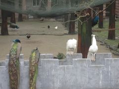 -南京金牛湖风景区