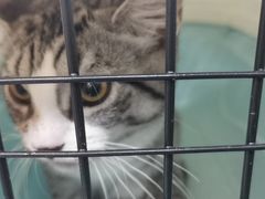 -达爱动物医院·犬猫分区·CT·复杂眼科(远洋山水分院)