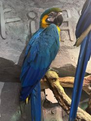 -Zoolung Zoolung动物主题公园(海信广场店)