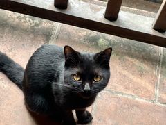 -烟桥私房菜馆(奋哥)