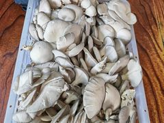 -南渝食府.石锅鸡(尚城花园店)