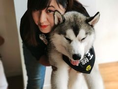 -Husky Go! 哈士奇体验馆·宠物咖啡厅狗咖