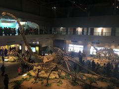 -自贡恐龙博物馆