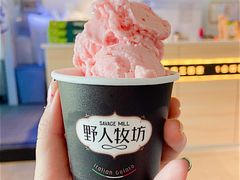 -野人牧坊Gelato(天津南开大悦城店)