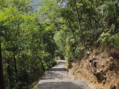 -广州白江湖森林公园