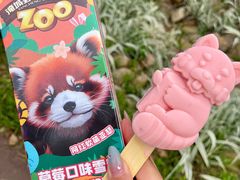 -常州淹城野生动物世界