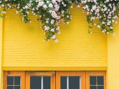 -馬鸿興·川小馆(新街口店)