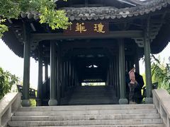 -三垟湿地