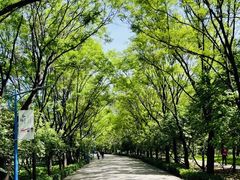 -森林公园(尖草坪区)