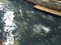 -三亚珠江南田温泉度假区