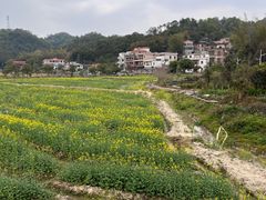 -红山村