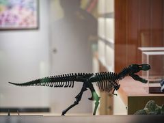 -正佳自然科学博物馆