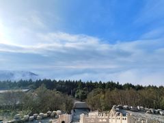 -白草畔自然风景区