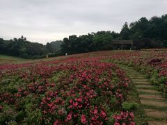 -保利石象湖景区