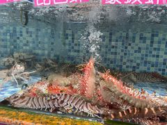 -朝陽市場