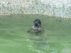 20100806414-绿色时代大酒店