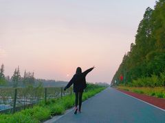 -上海长兴岛郊野公园