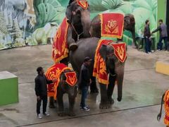 -大连森林动物园