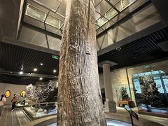 -乐山乌木文化博览苑