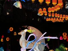 -长鹿旅游休博园