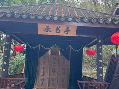 -天目湖山水园