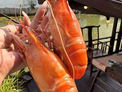 -蟹村草堂·苏式园林人文农家·大闸蟹