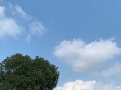 -太子山公园(园东路)