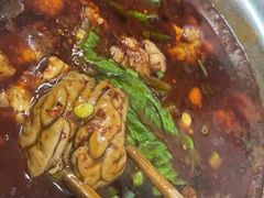 烧脑花-三哥田螺(北书院街店)