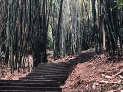 -凤栖山