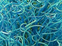 建筑近景-榖屋house of flour(张江首店)