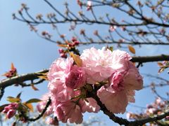 -一澜江宴·江景地标楚菜(江滩公园店)