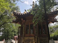 -高尔山公园