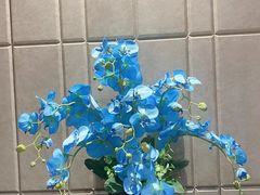 -小蓝鲸湖北菜(八一路店)