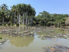 -中国科学院西双版纳热带植物园