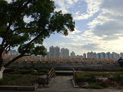-江心屿景区