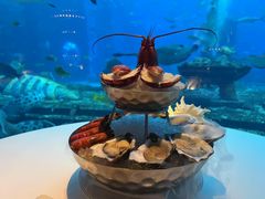 -亚特兰蒂斯•OSSIANO奥西亚诺海底餐厅