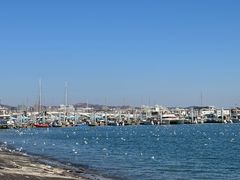 -日照灯塔风景区