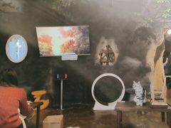 -猫猫幼稚园·撸猫·桌游·电玩