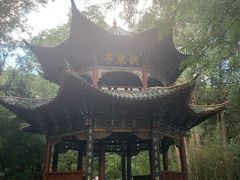 -蝴蝶泉公园
