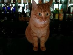 android_upload_pic-南京夫子庙国际青年旅舍(平江府路店)