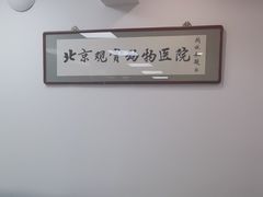 -北京观赏动物医院·24小时大型综合·猫专科·异宠专科