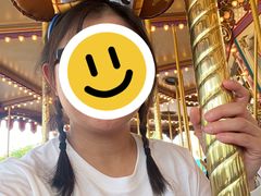 -灰姑娘旋转木马