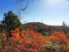 -北京西山国家森林公园