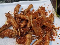-正能量脆肉鲩火锅