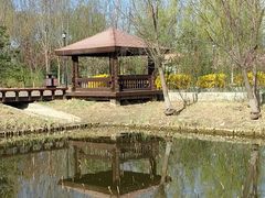 -永定河休闲森林公园