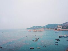 -枸杞岛