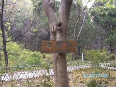 -牛郎织女景区